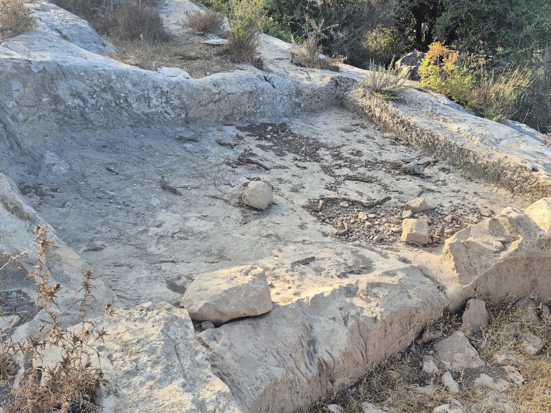 קובץ:2025-08-25T07 46 48.161293821113.jpg