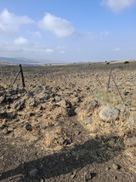 קובץ:2025-08-25T08 28 00.152175597456.jpg