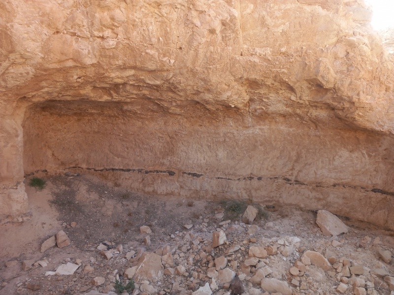 קובץ:2025-08-25T08 37 33.840663973463.jpg