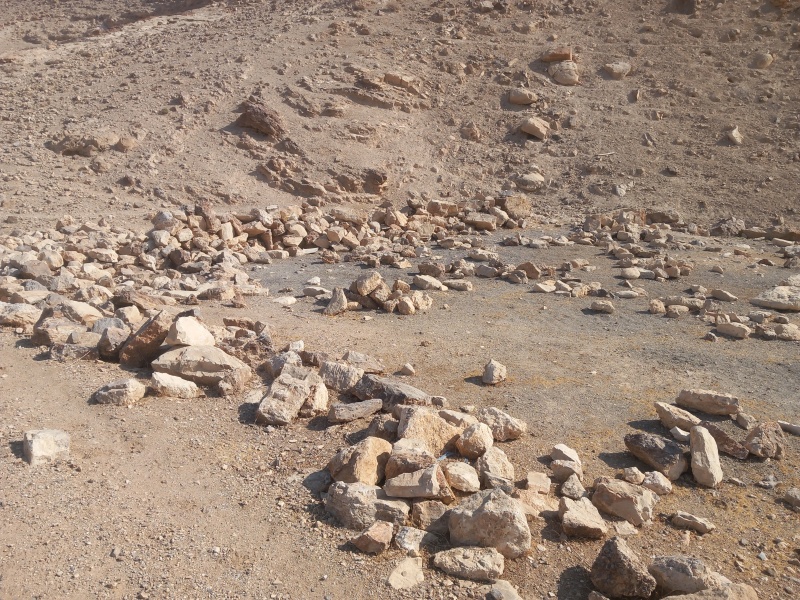 קובץ:2025-08-25T08 58 20.38624495727.jpg