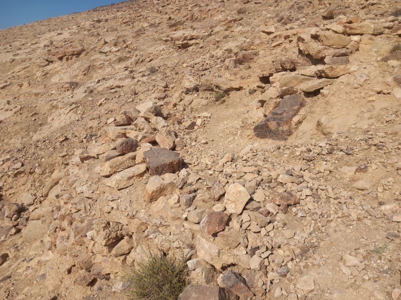 קובץ:2025-08-25T09 00 11.963476209468.jpg