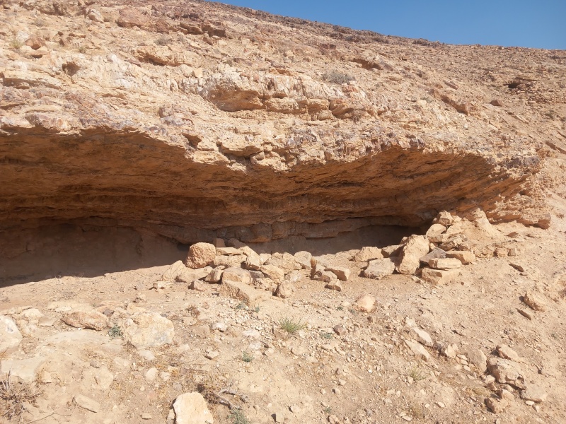 קובץ:2025-08-25T09 01 27.312400595028.jpg