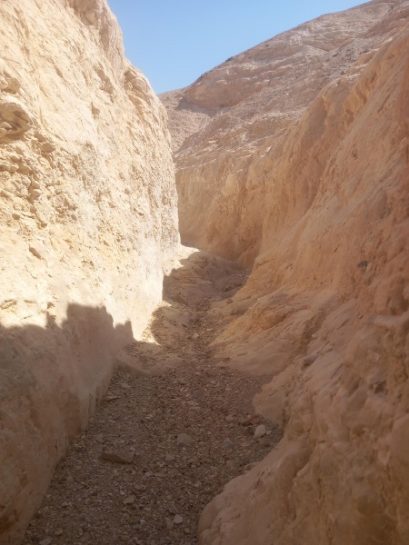 קובץ:2025-08-25T10 03 45.978765738495.jpg