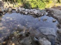 תמונה ממוזערת לגרסה מתאריך 07:05, 25 באוגוסט 2025