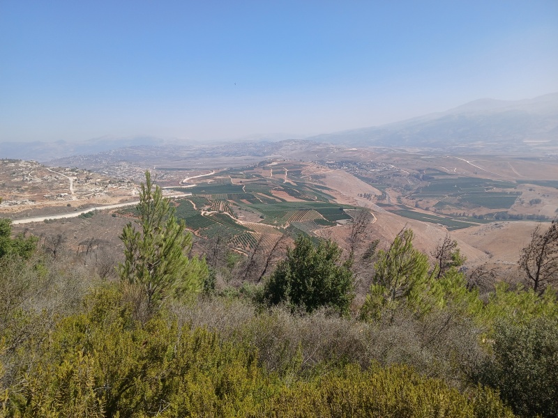 קובץ:2025-08-25T10 56 38.833793449736.jpg