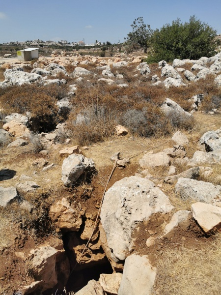 קובץ:2025-08-25T12 48 40.722472171152.jpg