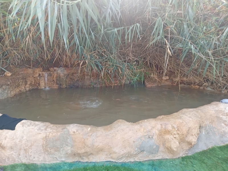 קובץ:2025-08-25T16 27 05.02946714187.jpg