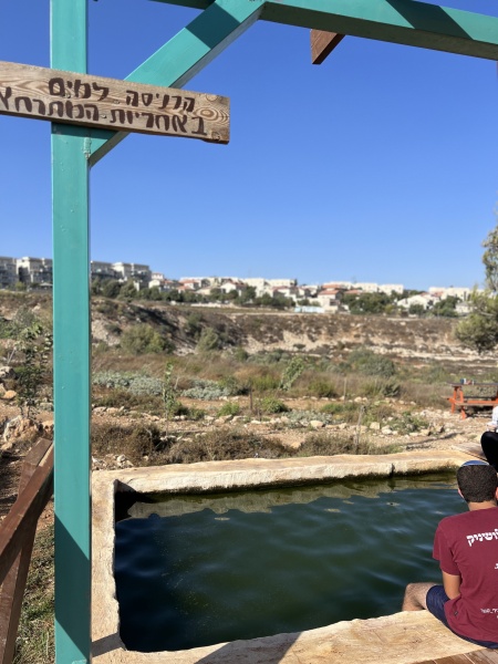 קובץ:2025-08-25T17 01 16.227702427173.jpg