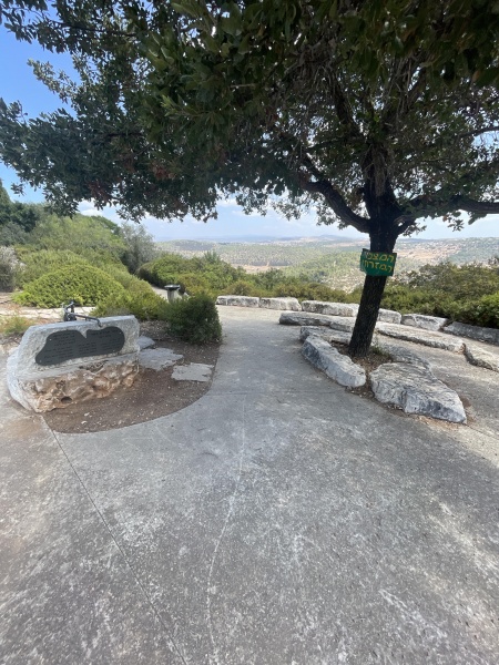 קובץ:2025-08-26T11 44 40.559960656336.jpg