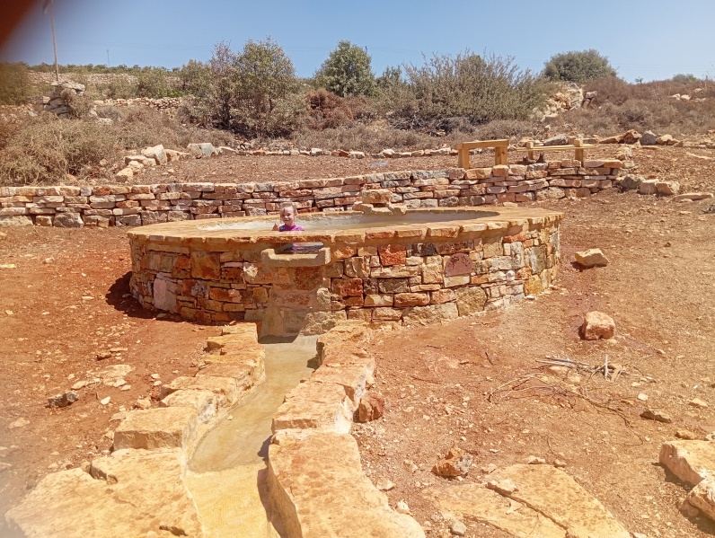 קובץ:2025-08-26T13 52 06.461101987701.jpg
