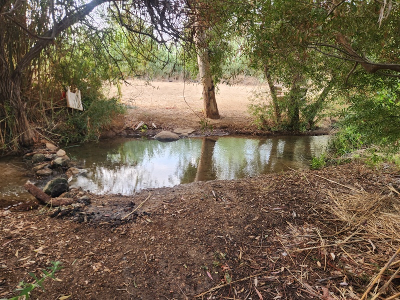 קובץ:2025-08-27T07 27 11.492697979205.jpg