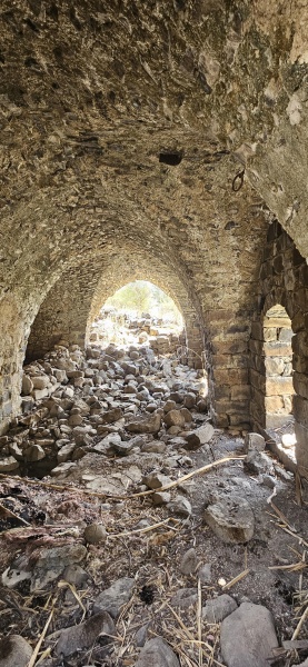 קובץ:2025-08-27T13 09 56.106443418482.jpg