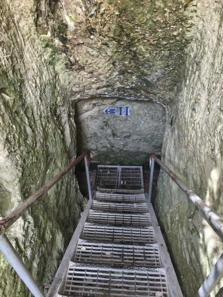 קובץ:2025-08-27T14 43 22.892919904381.jpg
