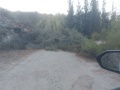 תמונה ממוזערת לגרסה מתאריך 15:10, 28 באוגוסט 2025