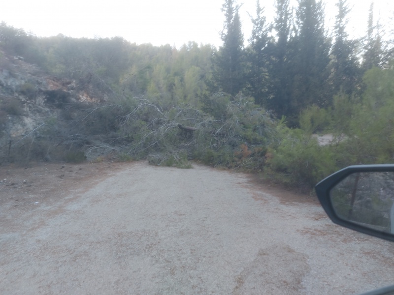 קובץ:2025-08-28T18 36 26.399152673073.jpg