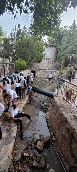 קובץ:2025-08-29T06 25 02.085845414074.jpg