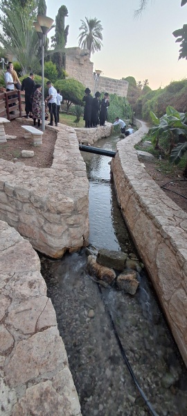 קובץ:2025-08-29T06 25 12.695430398374.jpg