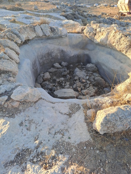 קובץ:2025-08-29T07 03 28.740039413601.jpg