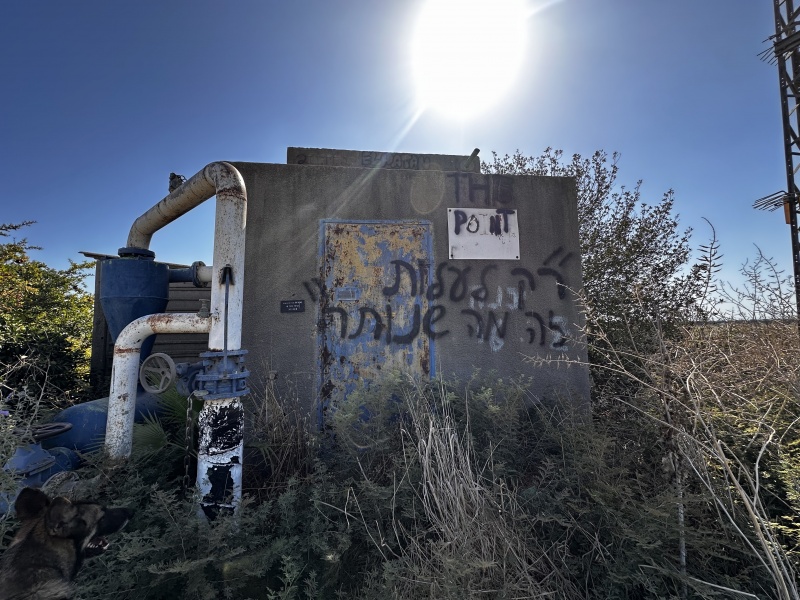 קובץ:2025-08-29T09 47 05.245558256.jpg