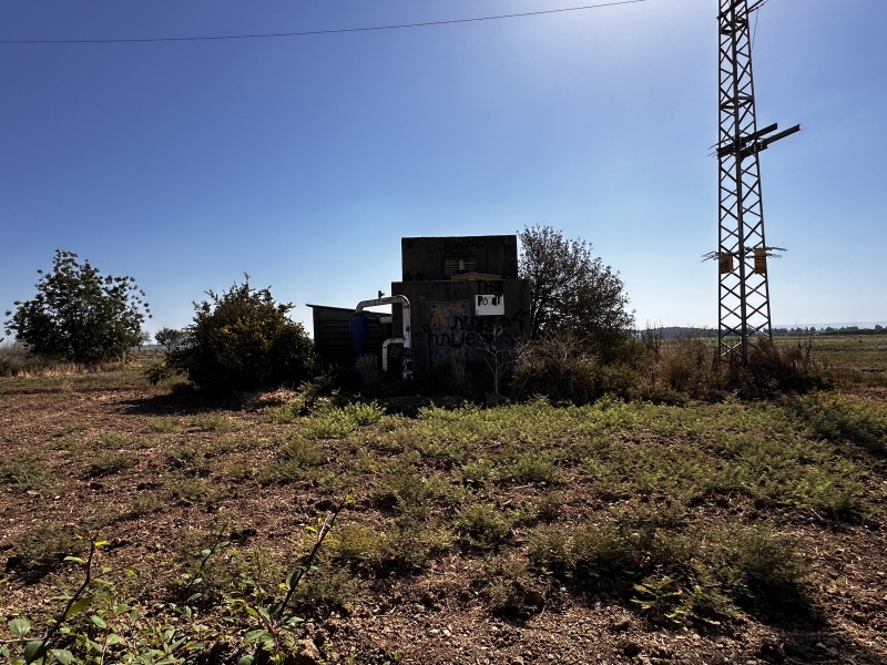 קובץ:2025-08-29T09 47 08.833782694332.jpg