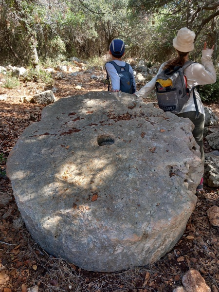 קובץ:2025-08-29T10 14 23.810938417686.jpg