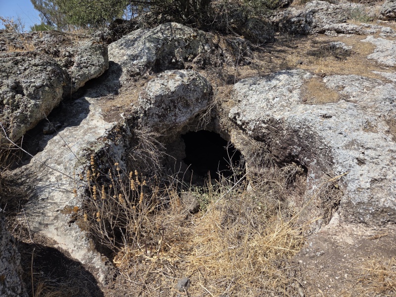 קובץ:2025-08-29T11 29 25.006253576085.jpg