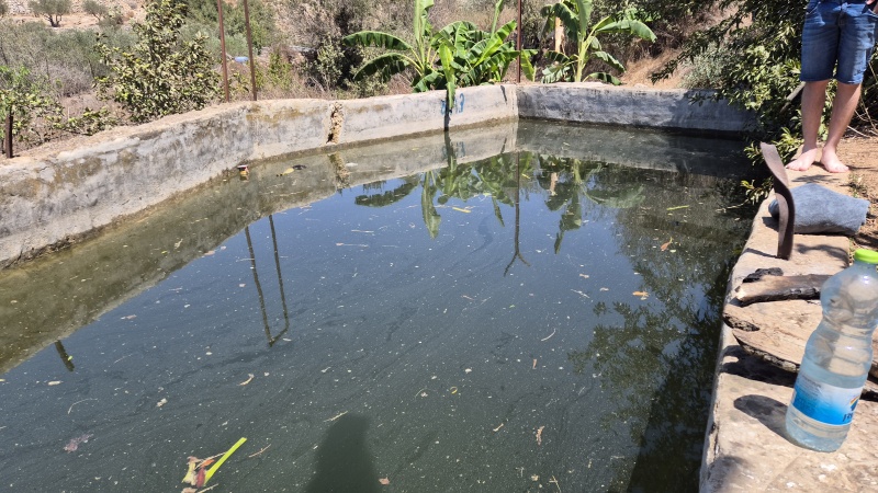 קובץ:2025-08-29T12 46 43.039598441250.jpg