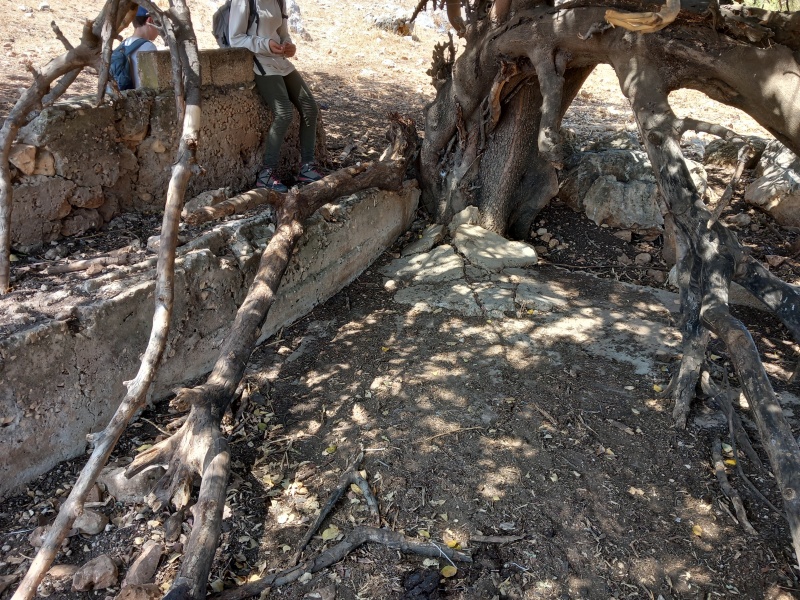 קובץ:2025-08-29T13 08 01.724848500084.jpg