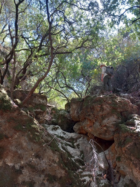 קובץ:2025-08-29T13 41 53.525935486514.jpg