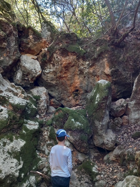 קובץ:2025-08-29T13 54 37.267688586824.jpg