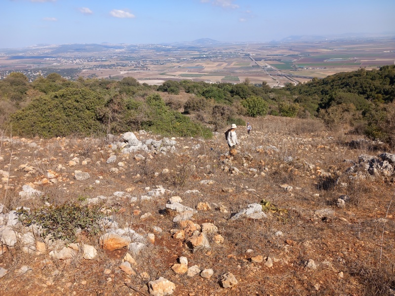 קובץ:2025-08-29T15 50 29.526625614225.jpg