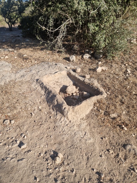 קובץ:2025-08-29T17 10 48.285119294156.jpg