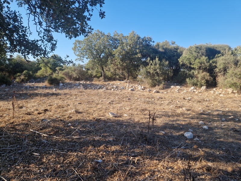 קובץ:2025-08-29T17 12 27.272426594739.jpg