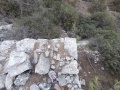 תמונה ממוזערת לגרסה מתאריך 15:16, 29 באוגוסט 2025