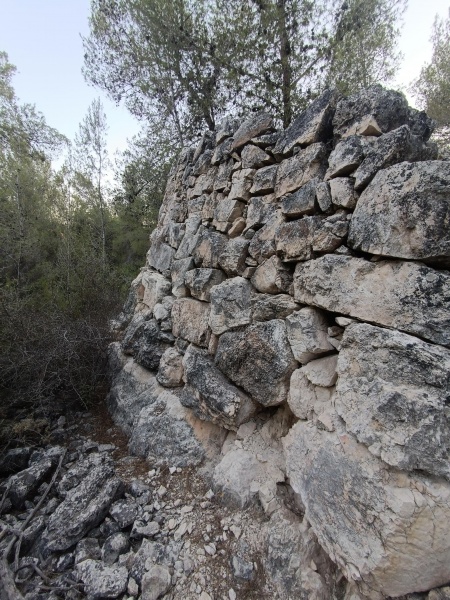 קובץ:2025-08-29T18 39 16.858730589472.jpg