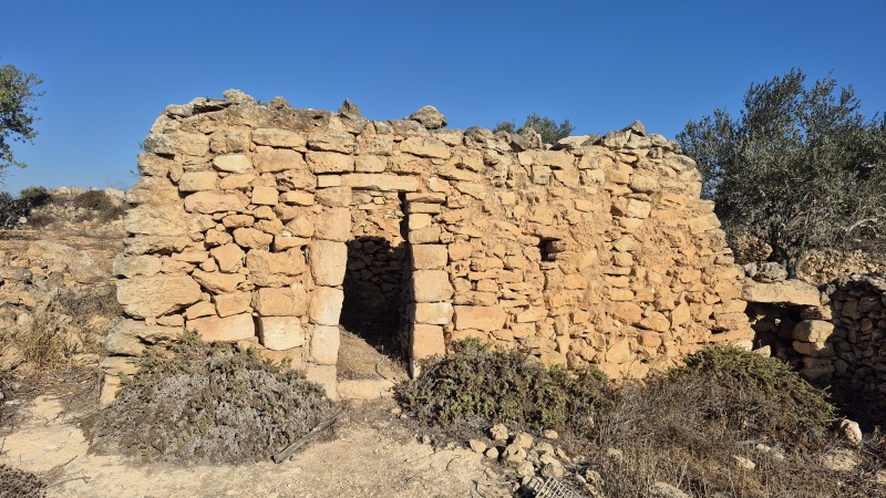 קובץ:2025-08-30T07 57 30.435685832526.jpg