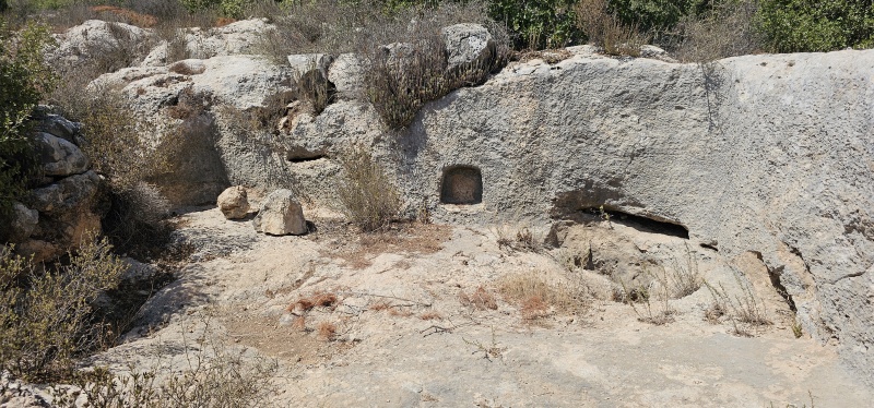 קובץ:2025-08-30T14 00 41.018776810770.jpg