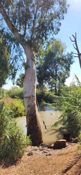 קובץ:2025-08-30T15 27 38.498294392959.jpg