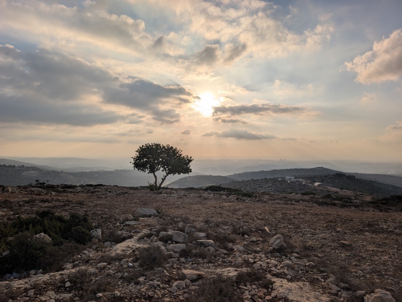 קובץ:2025-09-18T17 54 12.885073780419.jpg