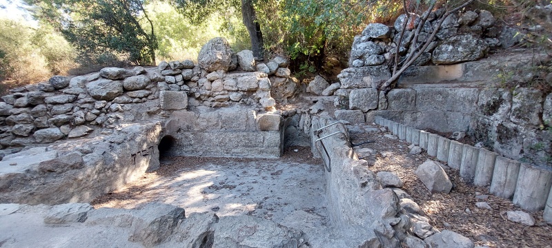 קובץ:2025-10-07T09 51 46.85646741950.jpg