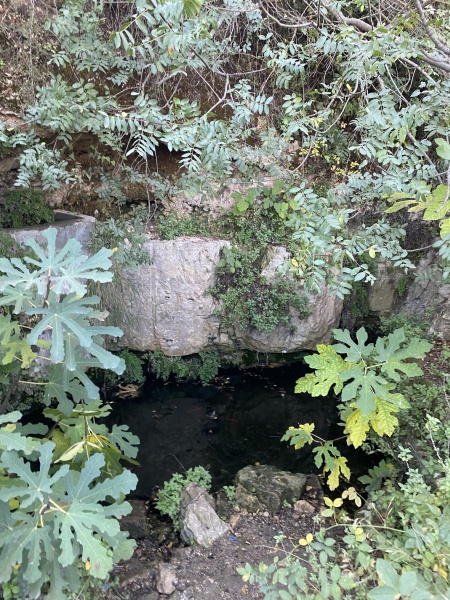 קובץ:2025-11-24T09 53 13.880595918295.jpg