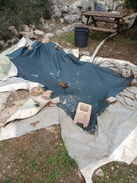 2025-12-05T14 46 51.394976904695.jpg