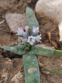 2025-12-10T13 02 55.817926709554.jpg