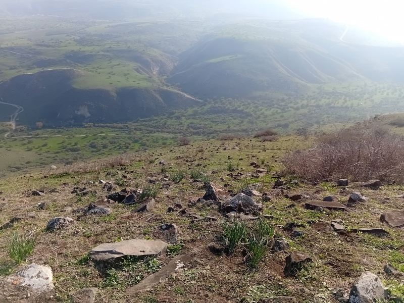 קובץ:2025-12-18T14 17 27.9727087963.jpg