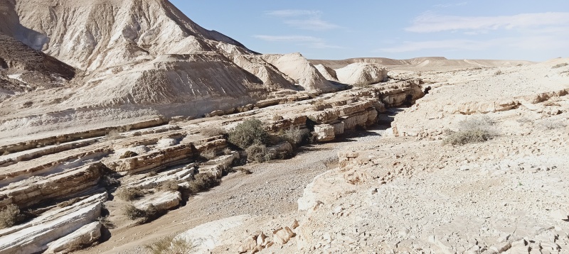 קובץ:2025-12-20T09 53 08.002786877124.jpg