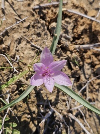 2025-12-21T13 31 21.869383942671.jpg