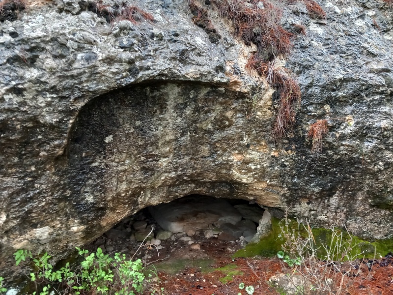 קובץ:2025-12-28T08 49 26.392529932425.jpg