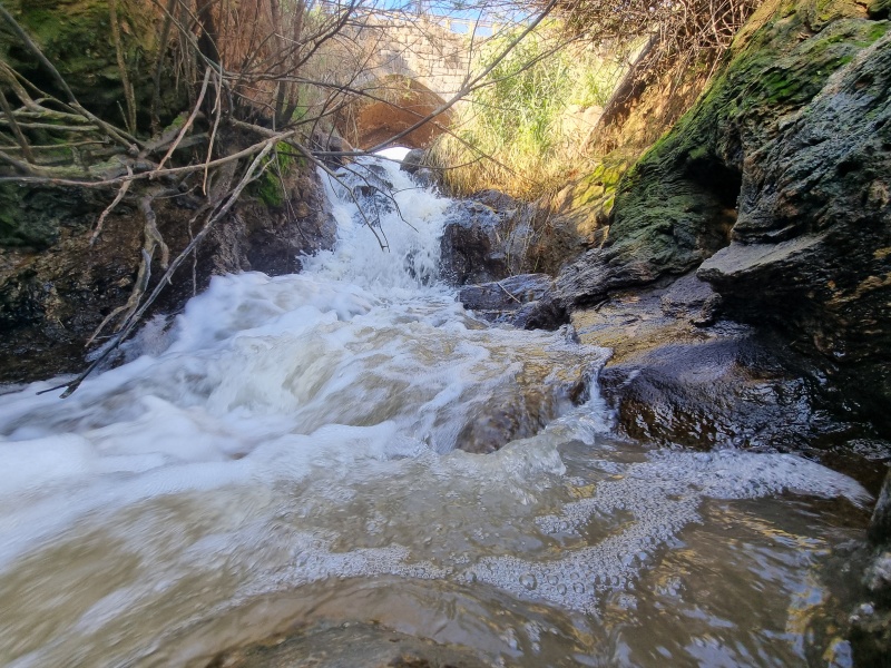 קובץ:2026-01-16T09 53 13.763449185911.jpg