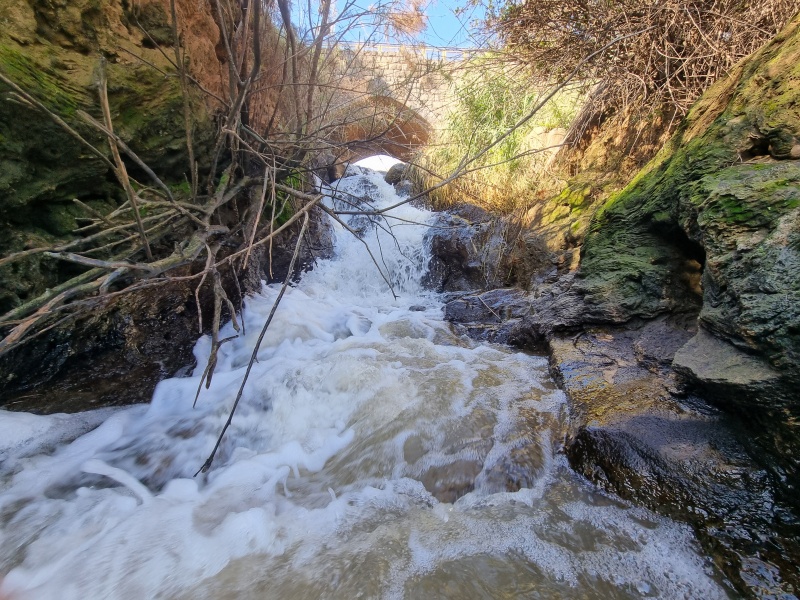 קובץ:2026-01-16T09 53 55.448735452109.jpg