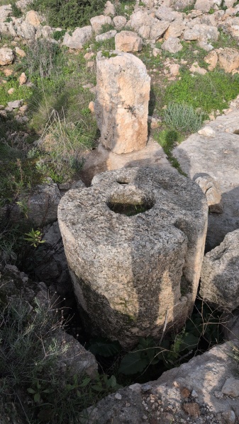 קובץ:2026-01-23T08 53 47.306359985788.jpg